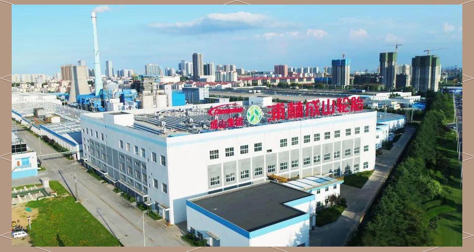 通过不懈努力,已构建起一套涵盖绿色工厂,绿色产品及绿色供应链的完整