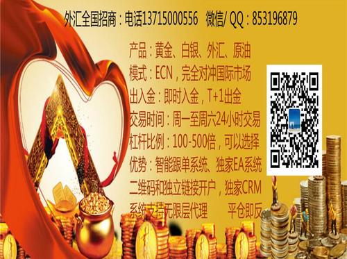 优汇金融服务 天津探蝌的定制化金融解决方案